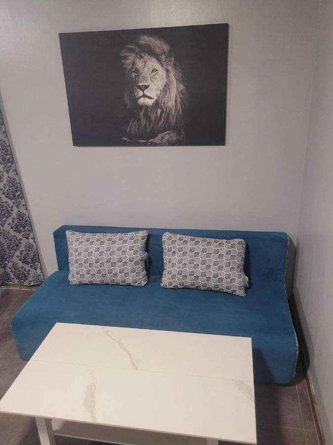 Maxi Homes 索菲亞 外观 照片